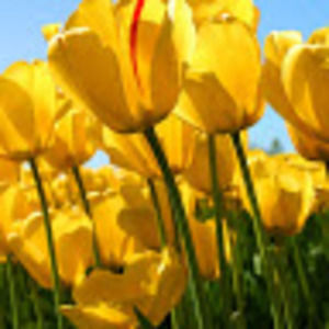 Meet your Posher, Erika